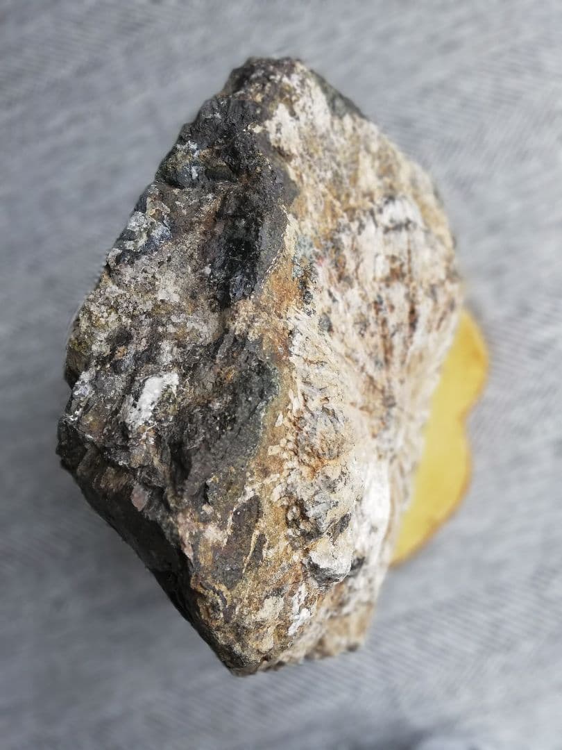 大菊　菊花石　11㎏