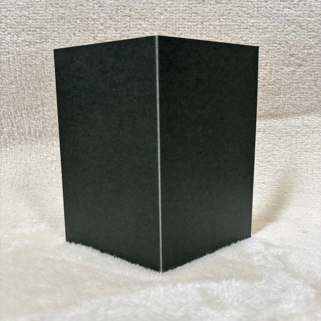 【希少品】薬師窯 陶磁器工芸 ポケモン 陶飾り ピカチュウ ライコウ 置き物