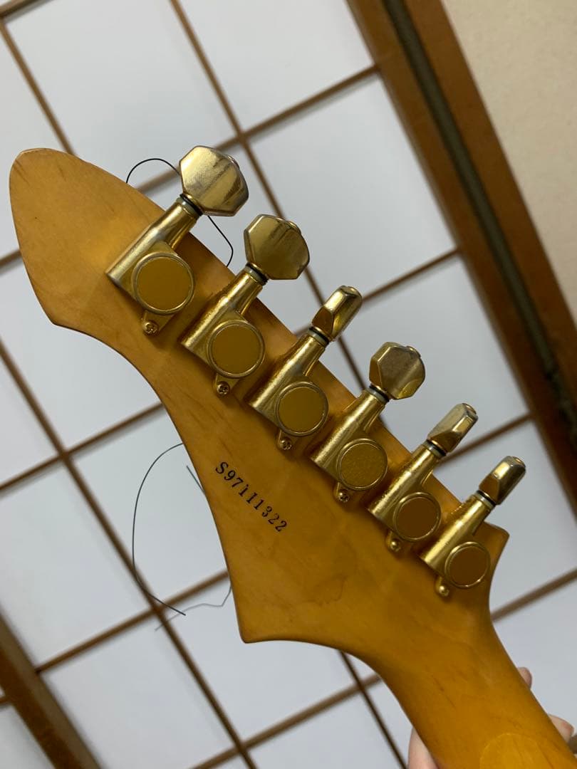 【配達無料】AriaProⅡ MAGNA-series エレキギターアンプセット