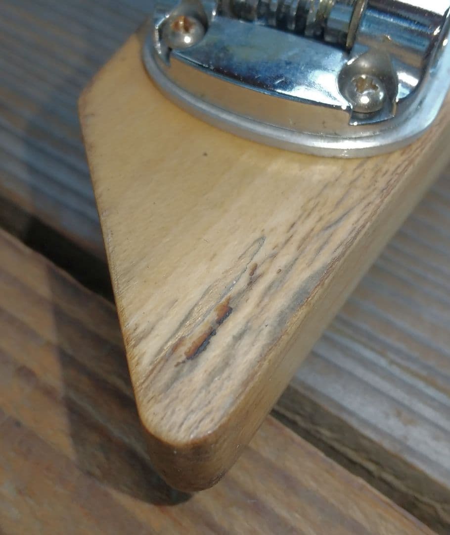 ベース tig tuned bass Selva SEB2020sp