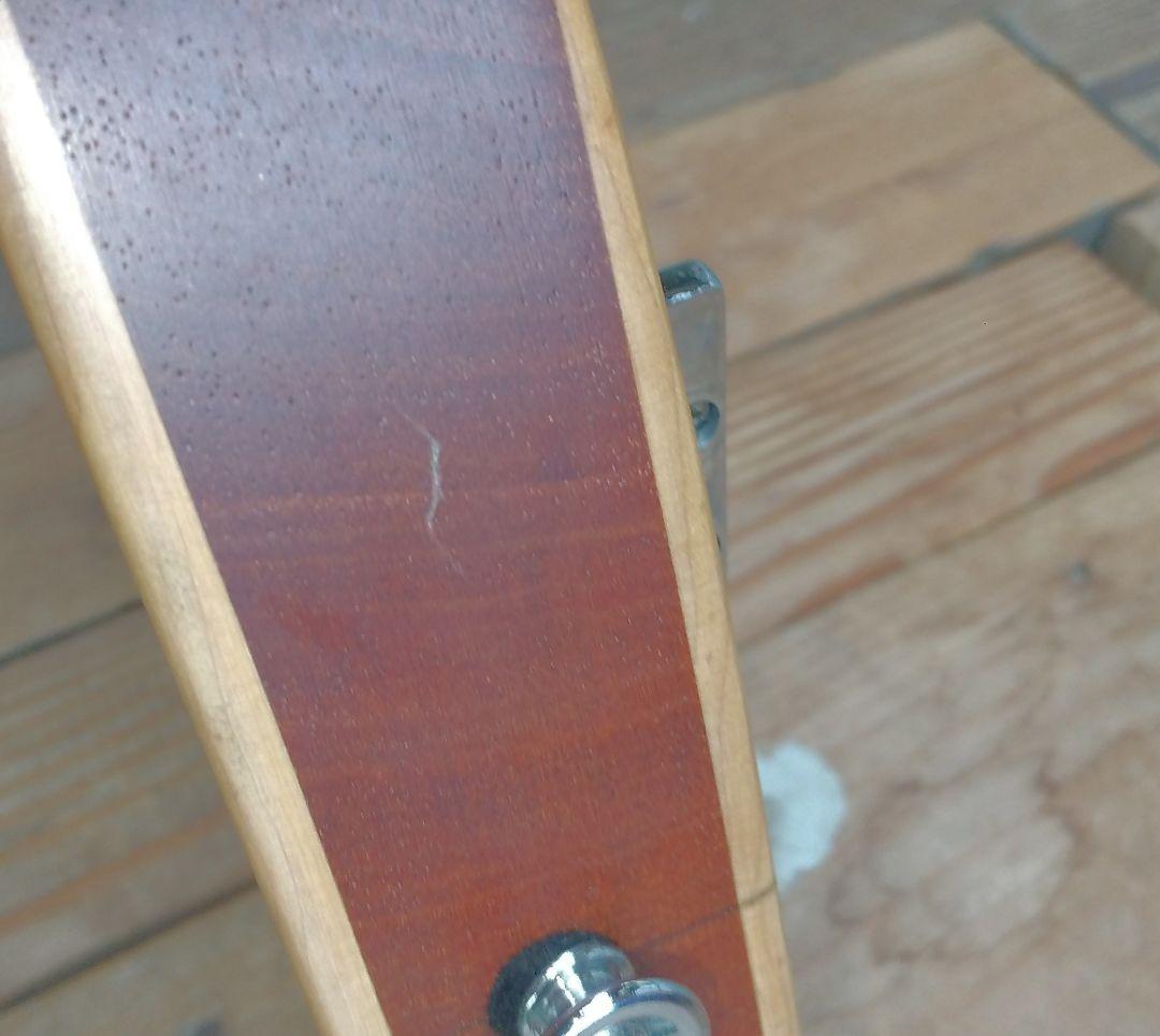 ベース tig tuned bass Selva SEB2020sp