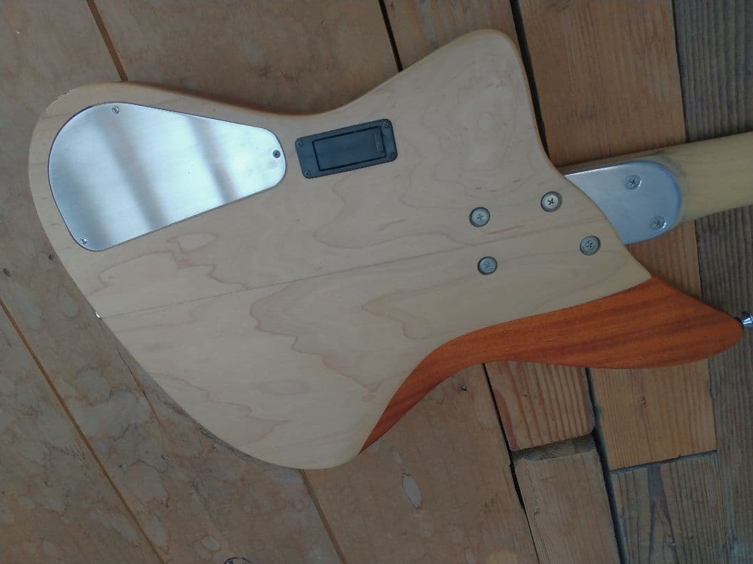 ベース tig tuned bass Selva SEB2020sp