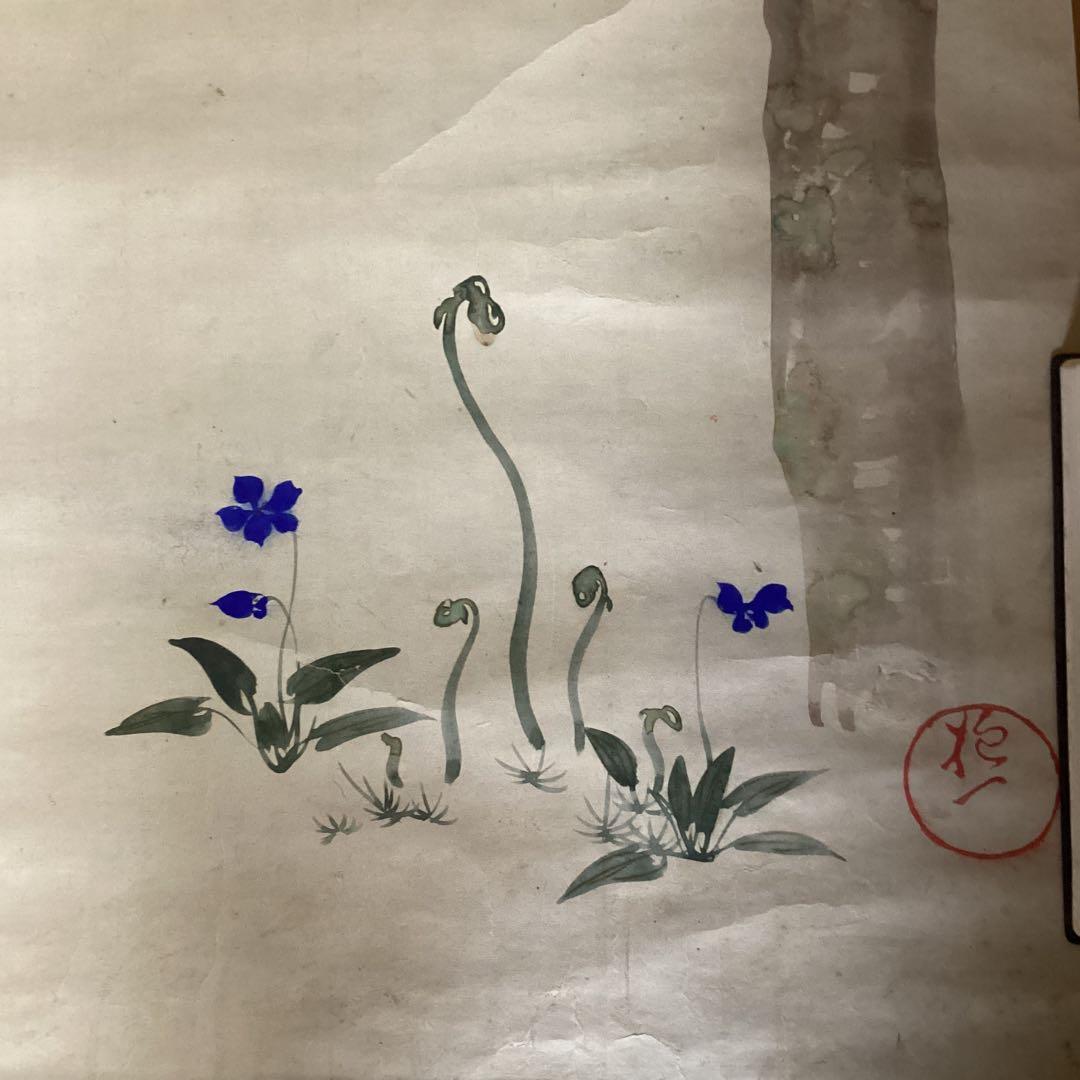 酒井抱一　紙本　捲り三幅　【桜に草花図、芥子の花、菖蒲図】落款印譜　模写108