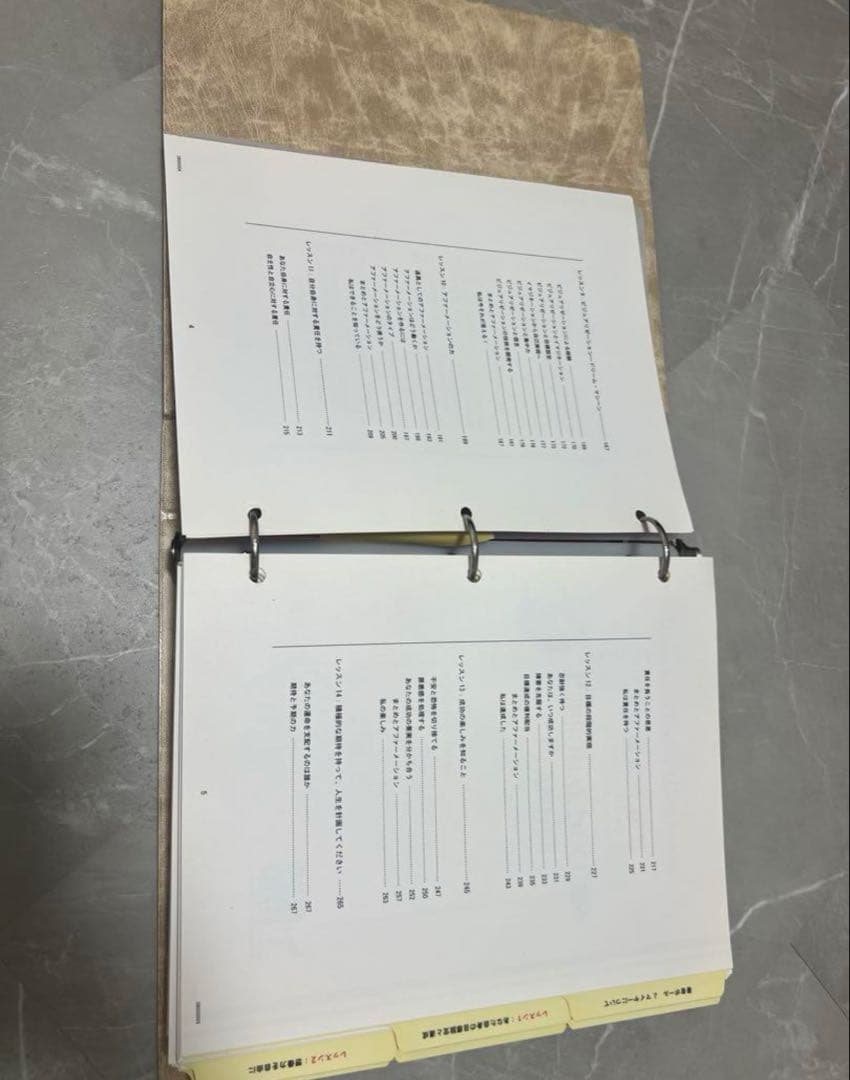 【美品】SMI★パーソナルサクセスプランナー★ポール・J・マイヤー★