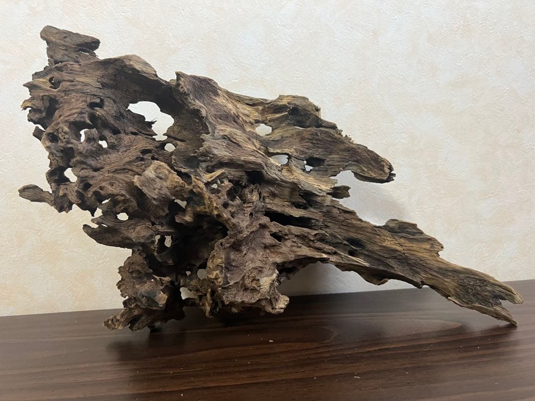 XM-307 流木　マシンガンウッド ブランチウッド　アクアリウム