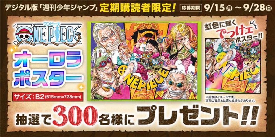 ぽ*け様 ONE PIECE オーロラポスター B2サイズ