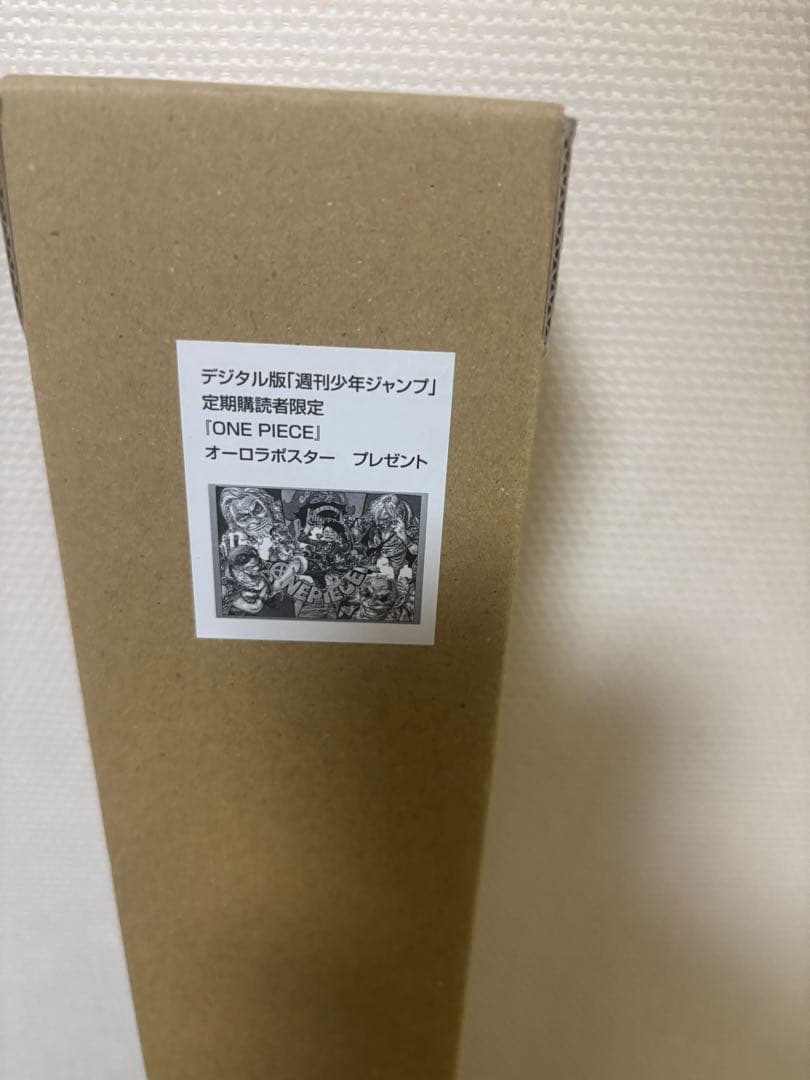 ぽ*け様 ONE PIECE オーロラポスター B2サイズ