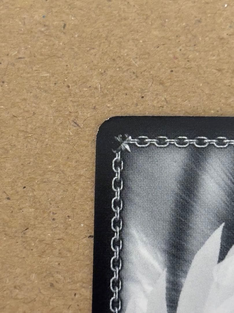 ヴァイスシュヴァルツ　異世界常夏生活　レム　SP