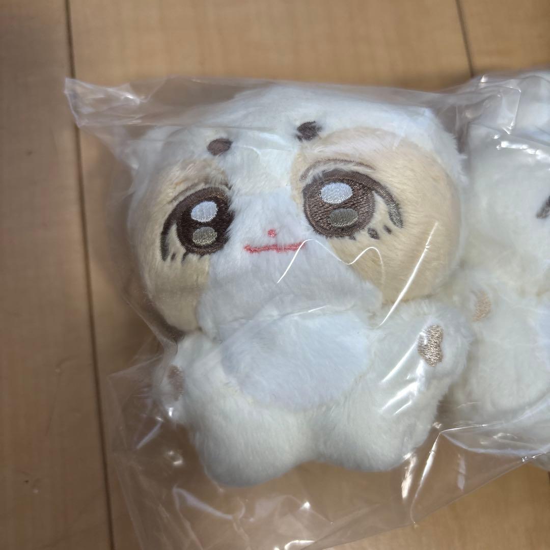 SEVENTEEN スンチョル ジョンハン　10センチドール マスター