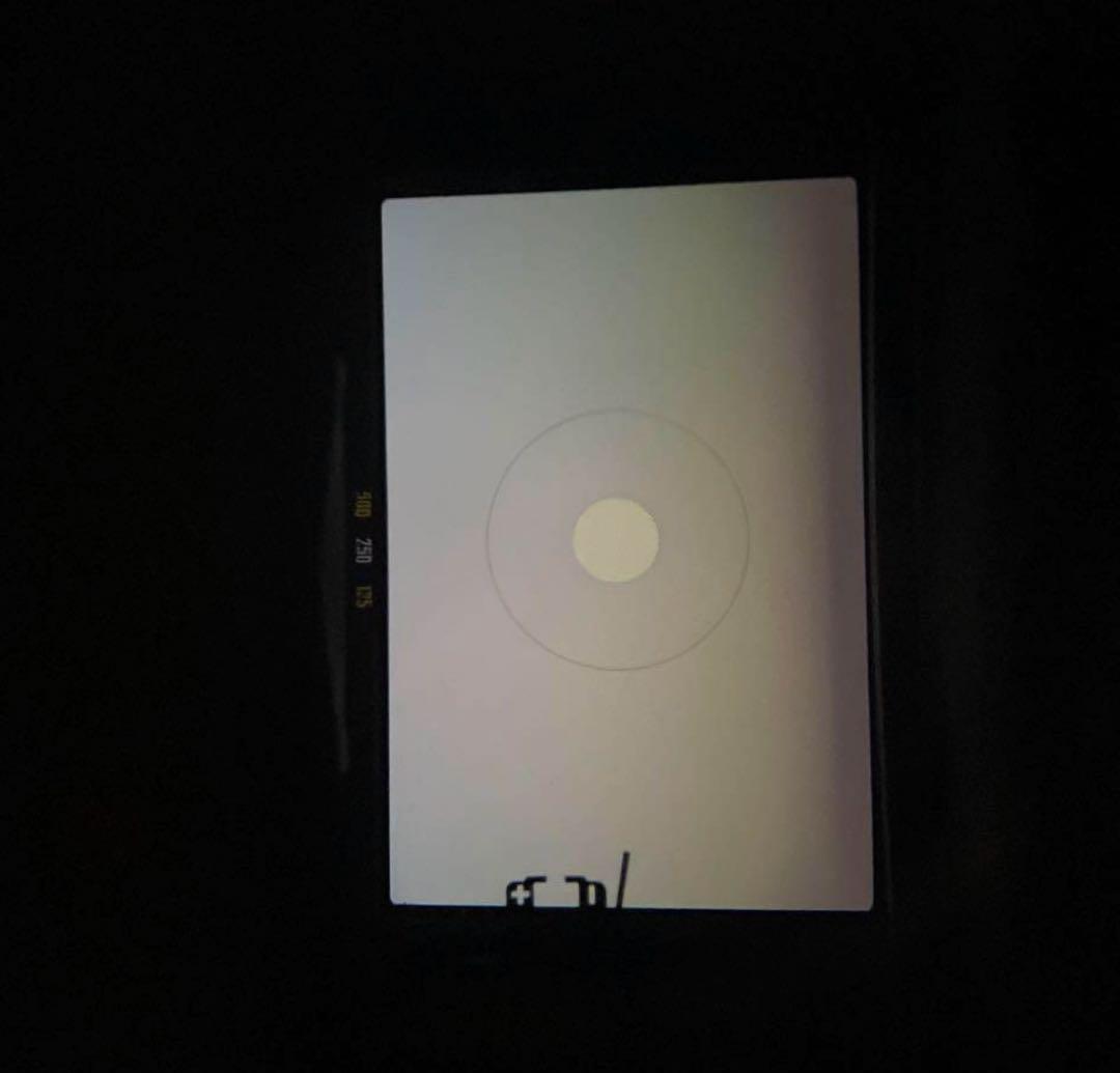 ⭐️超美品・Nikomat FTN・作例有り⭐️