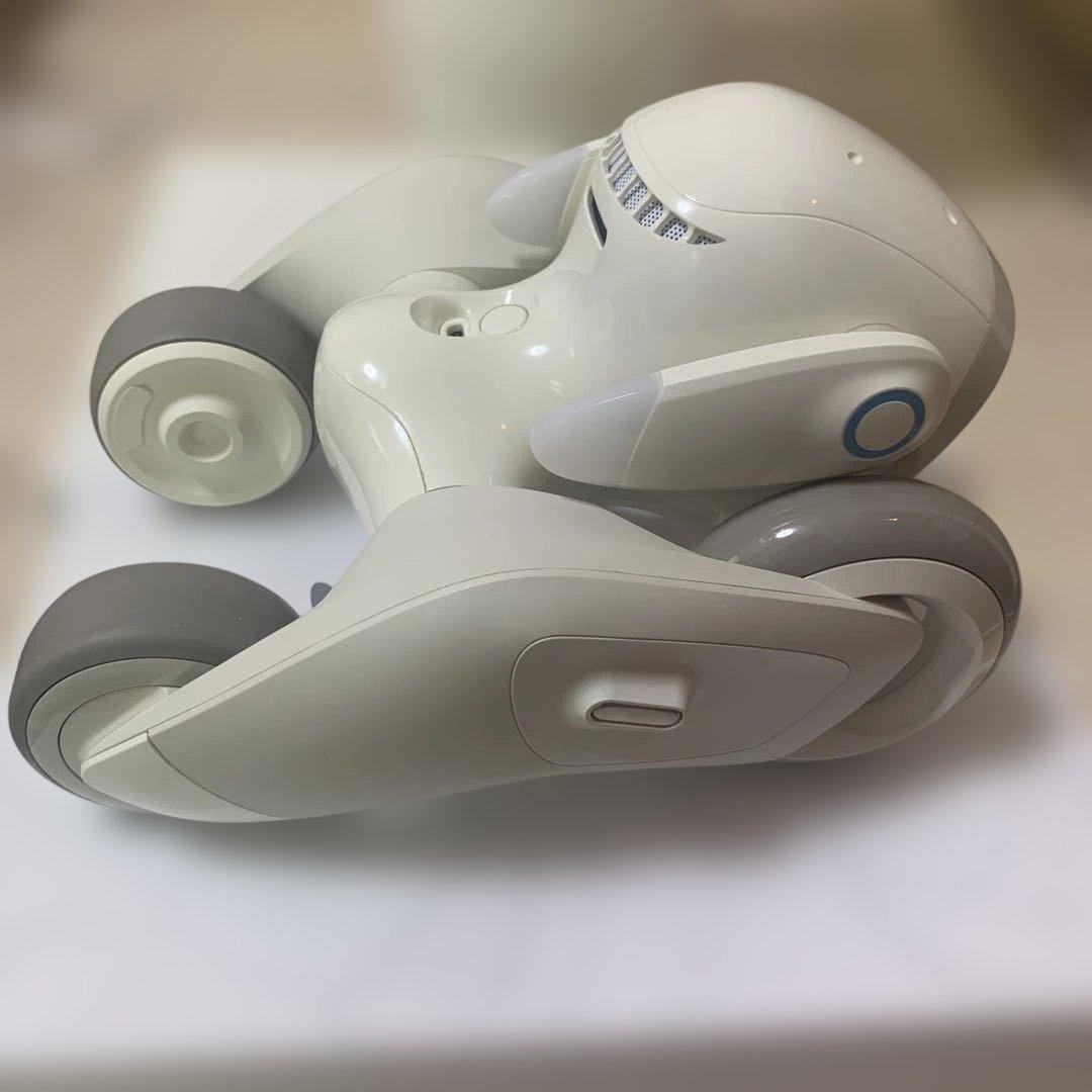 【値下げ中✨】Loona ペットロボット 本体＋付属品一式（ゲームキットなし）