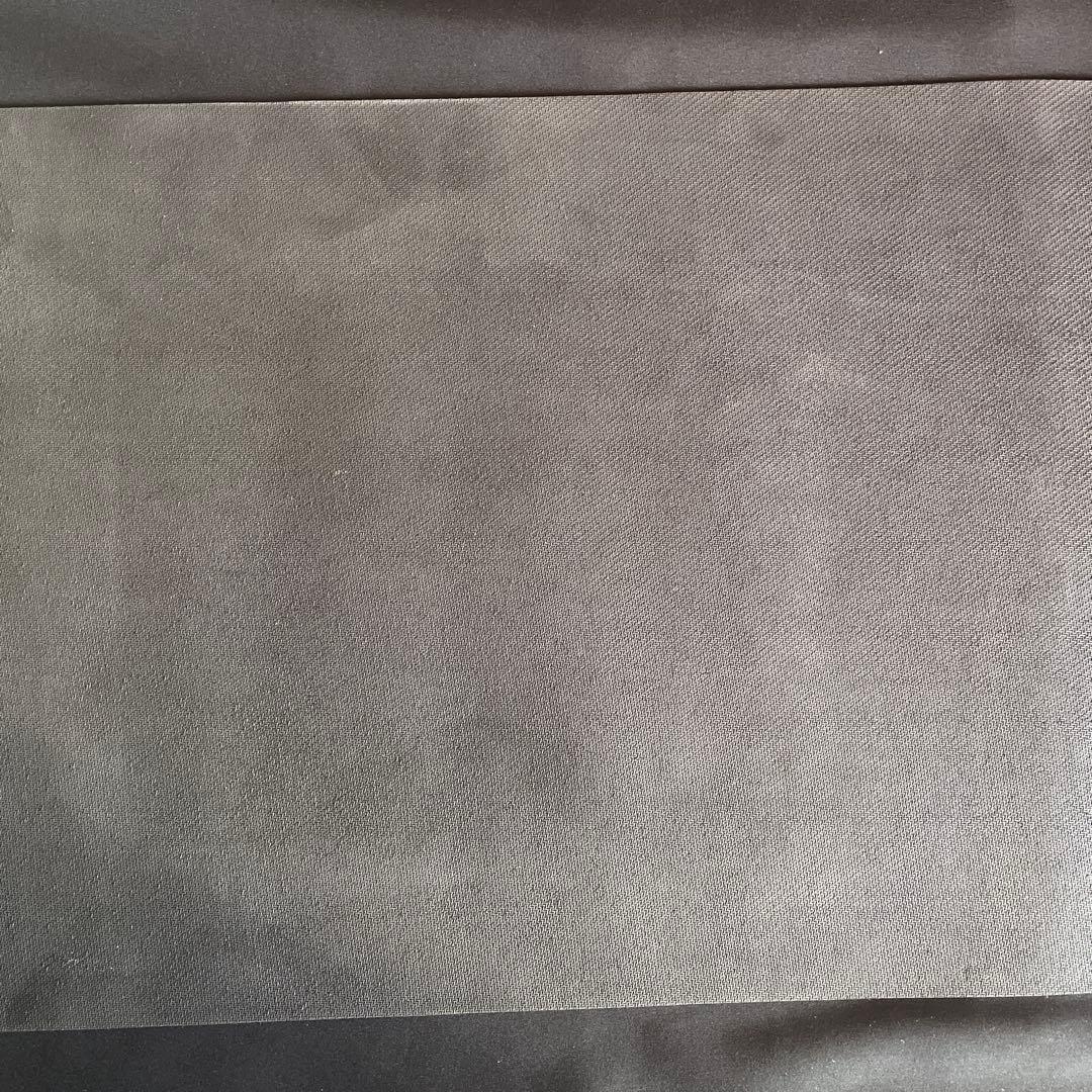 【タグ付】WCS2019 ワシントンDC プレイマット ピカチュウ 袋あり