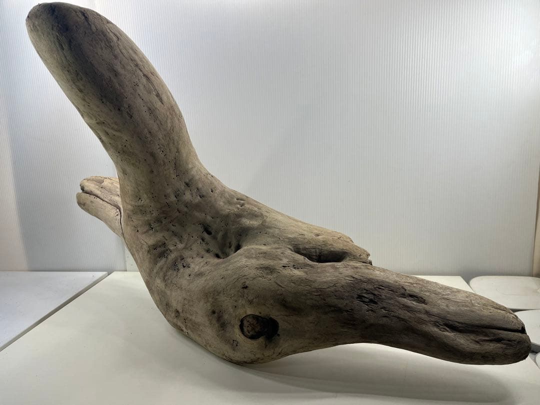 W29特大流木 アク抜き済み流木 爬虫類シェルター 登り木 インテリア 生け花