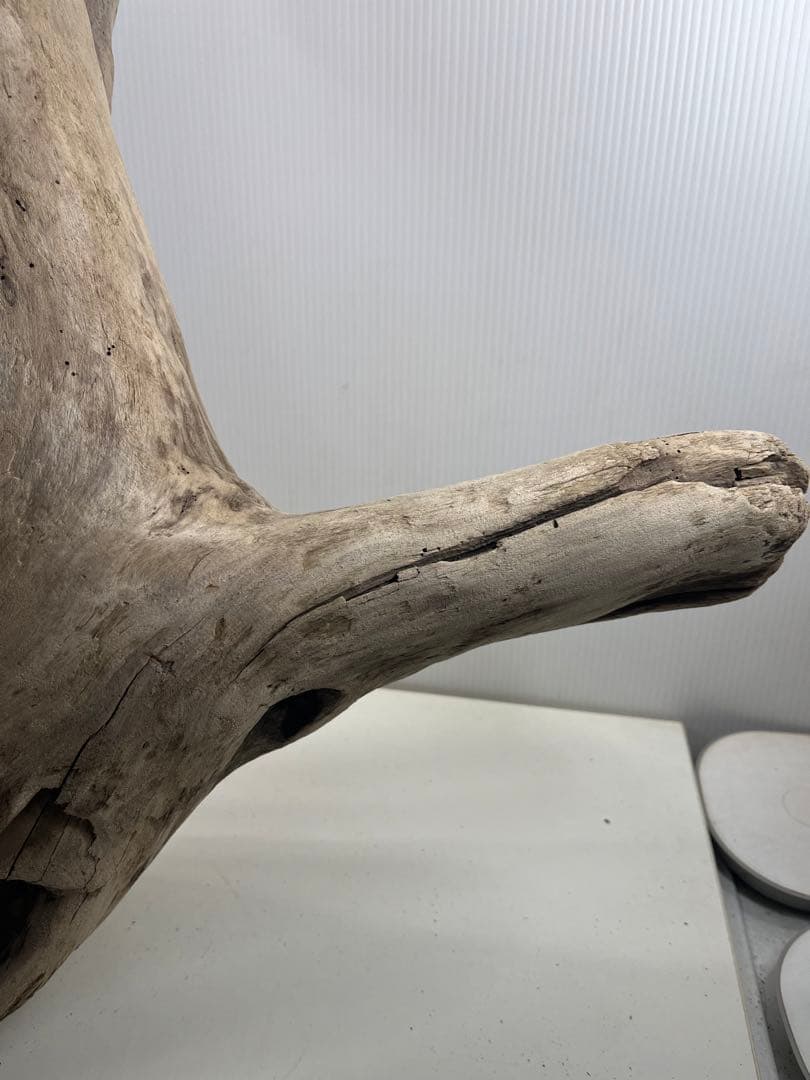 W29特大流木 アク抜き済み流木 爬虫類シェルター 登り木 インテリア 生け花