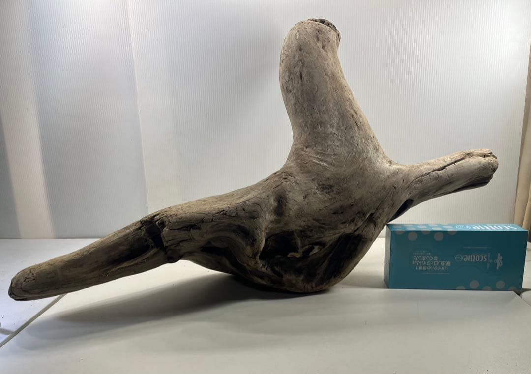 W29特大流木 アク抜き済み流木 爬虫類シェルター 登り木 インテリア 生け花