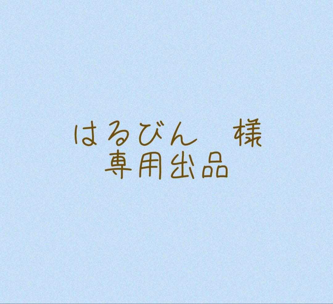 はるびん　出品