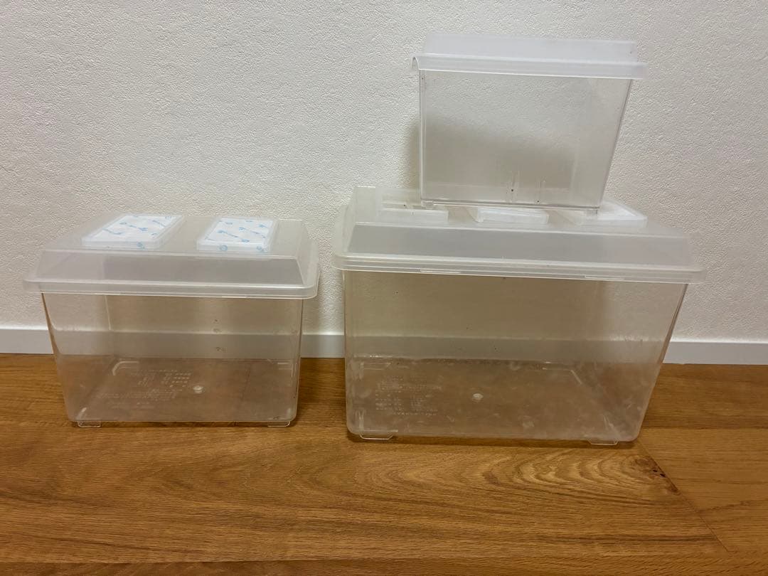 クワガタ ・カブトムシ　飼育良品　まとめ売り