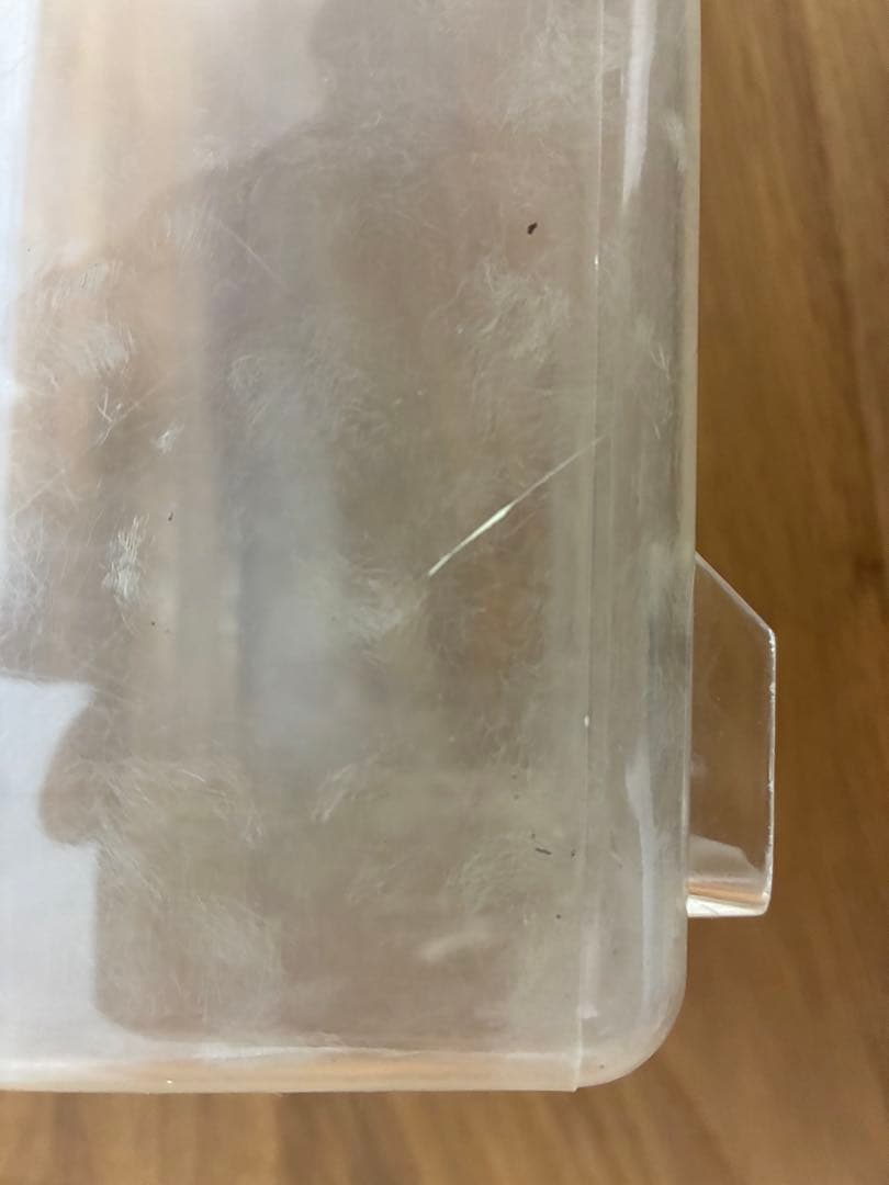 クワガタ ・カブトムシ　飼育良品　まとめ売り