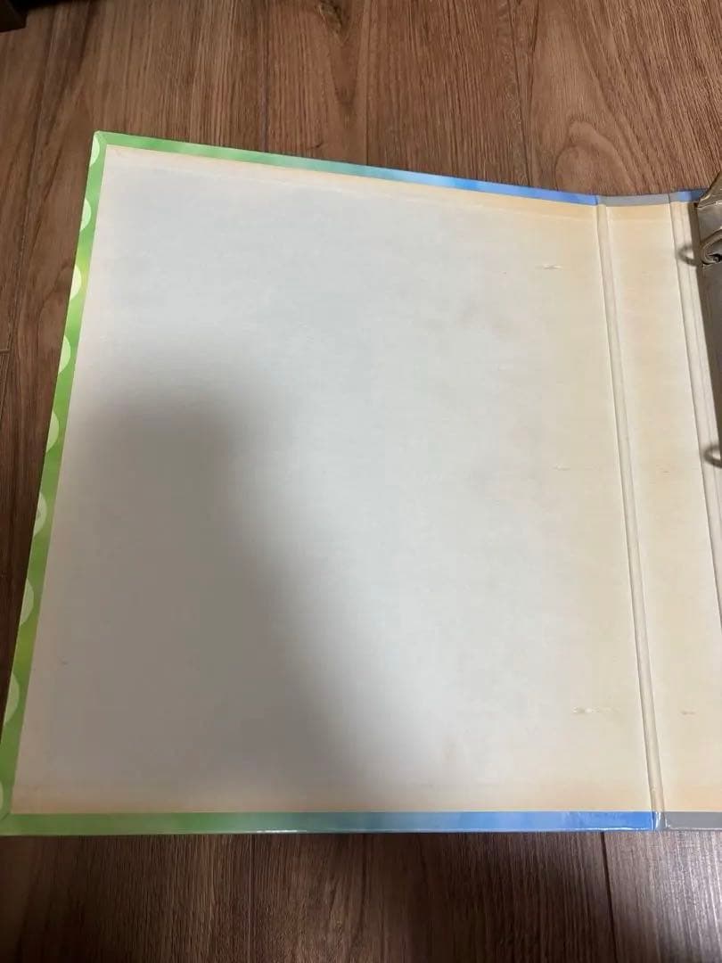 旧裏 初期 ポケモンカードゲーム 公式コレクションファイル