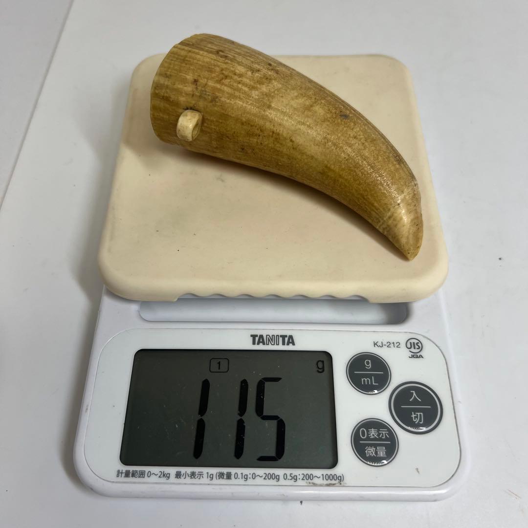 マッコウ鯨　115g 東K8-0112☆2F