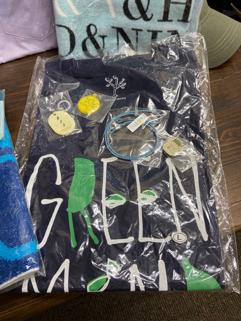 期間限定値引！秦基博/グリーンマインド/青の光景/ツアーグッズ/おまけ付き/希少