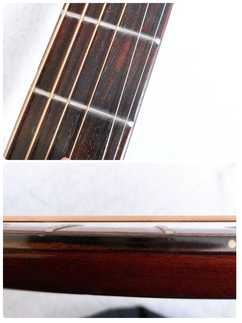 【極上美品】 1980年代！ TOKAI TCM-50 アコギ　ソフトケース付き