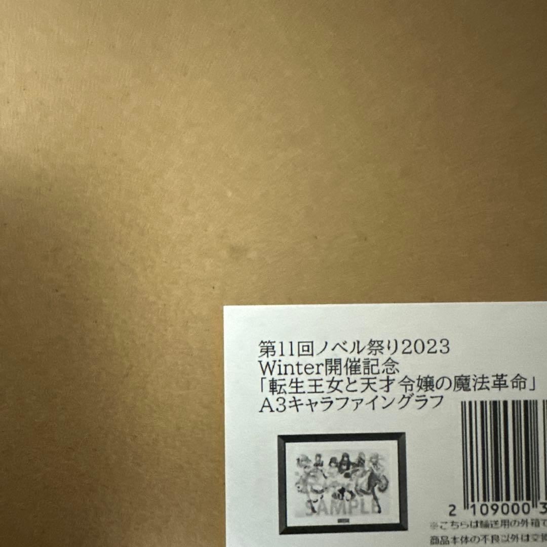 転生王女と天才令嬢の魔法革命　キャラファイングラフ　ノベル祭り