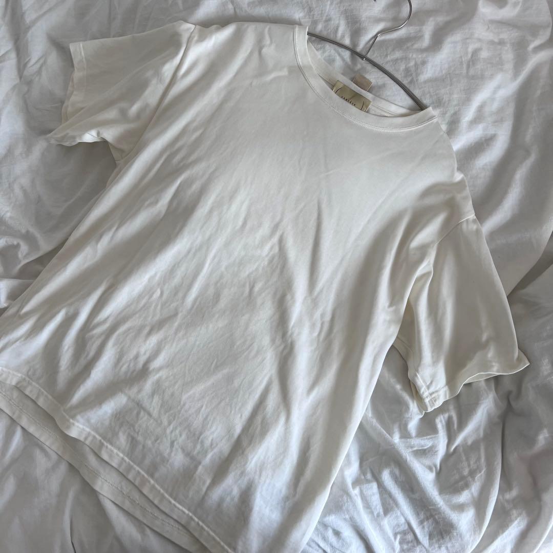 T Shirt CANTÁTE カンタータ　24AW