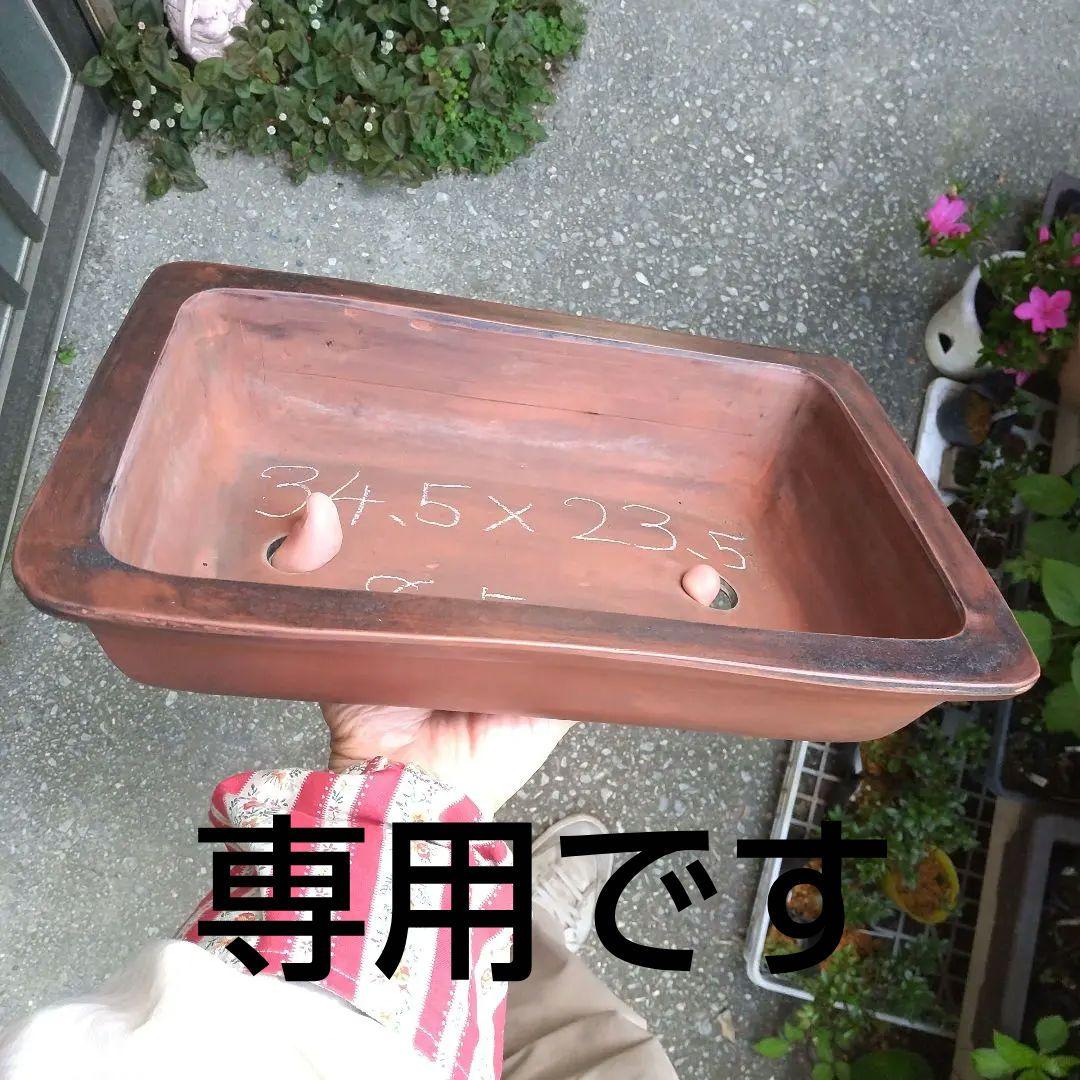 ミニ鉢、盆栽鉢、盆栽小鉢、鉢、植木鉢、山野草鉢、蘭鉢、盆栽