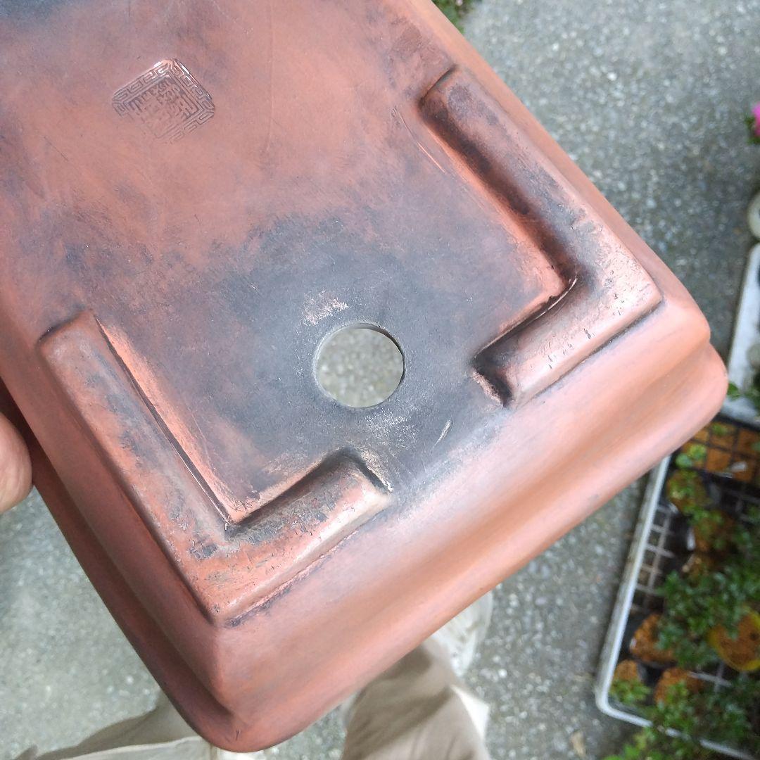 ミニ鉢、盆栽鉢、盆栽小鉢、鉢、植木鉢、山野草鉢、蘭鉢、盆栽