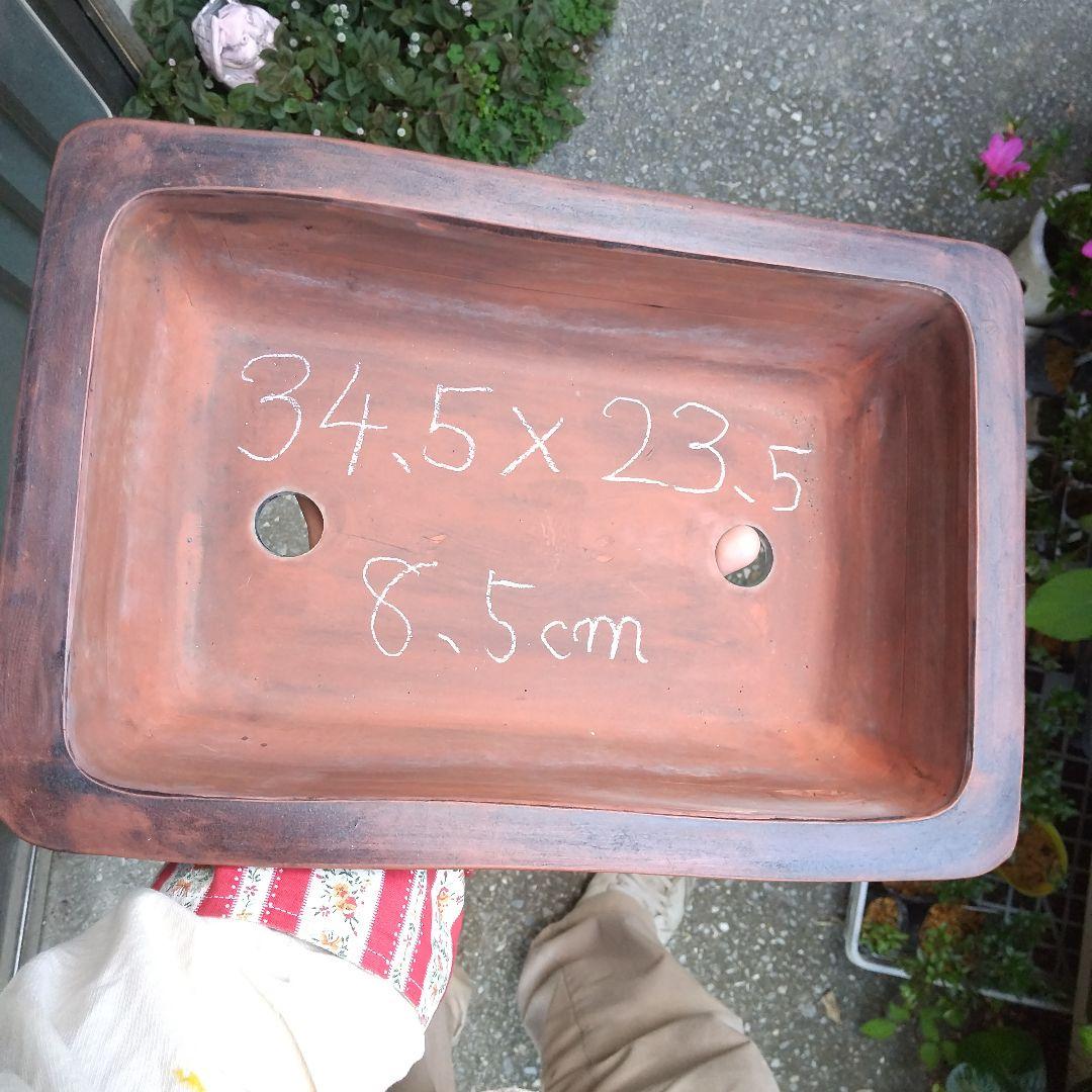 ミニ鉢、盆栽鉢、盆栽小鉢、鉢、植木鉢、山野草鉢、蘭鉢、盆栽