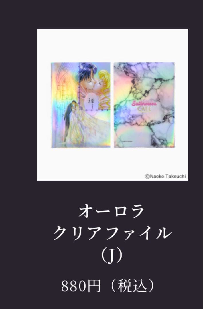 後期　オーロラクリアファイルセット　11点