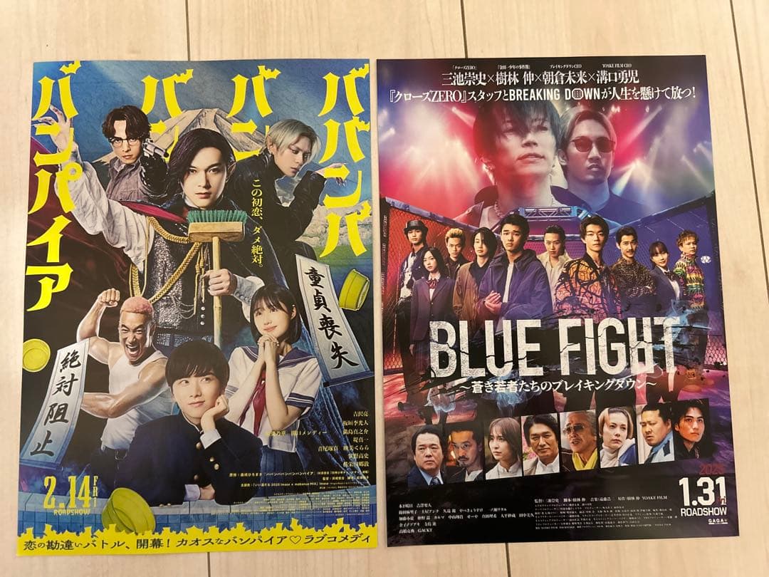 映画チラシ　フライヤー　組み合わせ 枚数増減 相談可