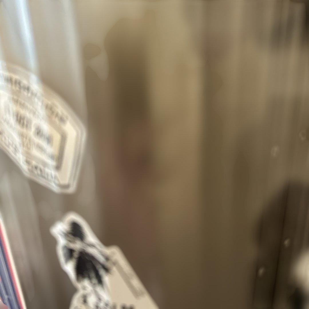 RIMOWAトパーズ　チタニウム　104L