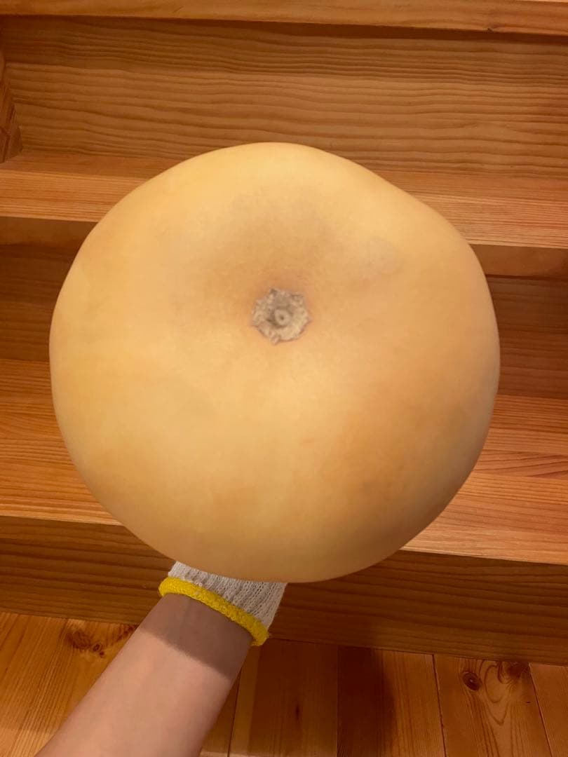 イプ　ナチュラル