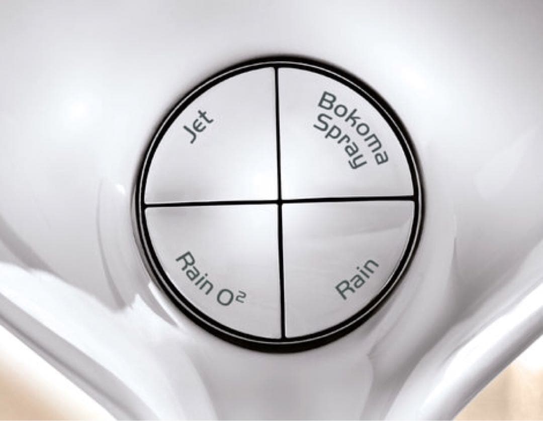 ⭕️独グローエ社製　シャワーヘッド　Bokoma Spray 大首13㎝