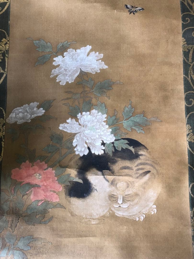 掛け軸　狩野常信 猫圖