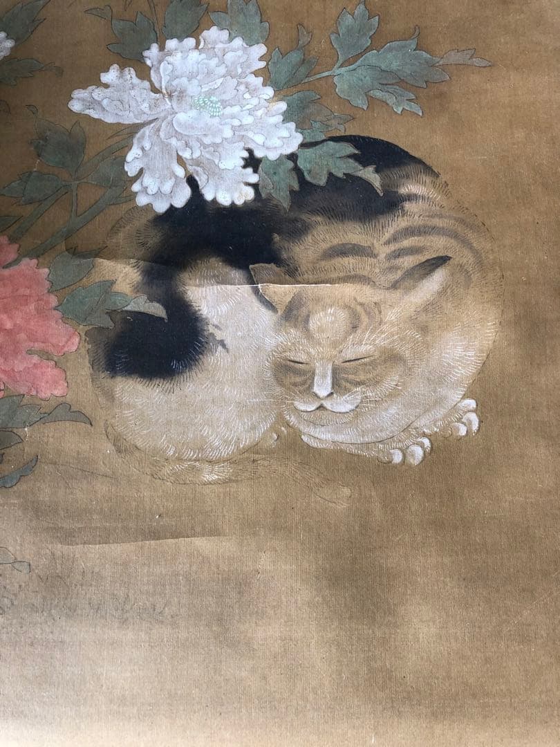 掛け軸　狩野常信 猫圖
