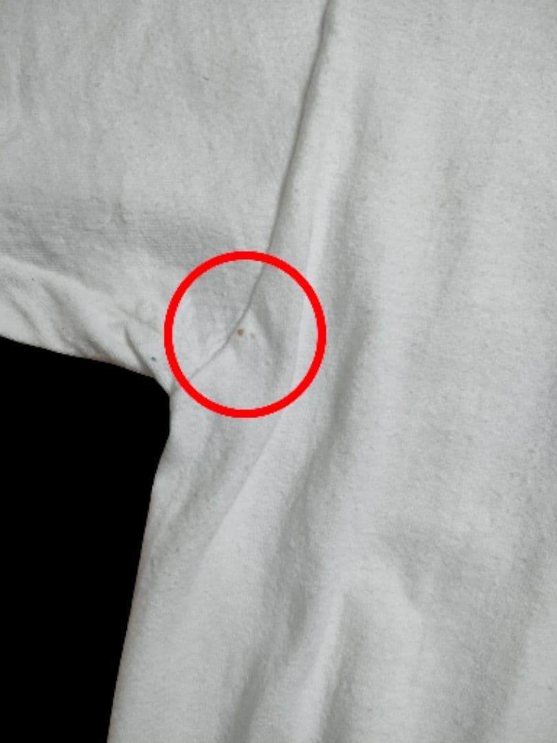 レア 90s ディズニー　ビンテージ　Tシャツ　スタッフ用　ティンカーベル