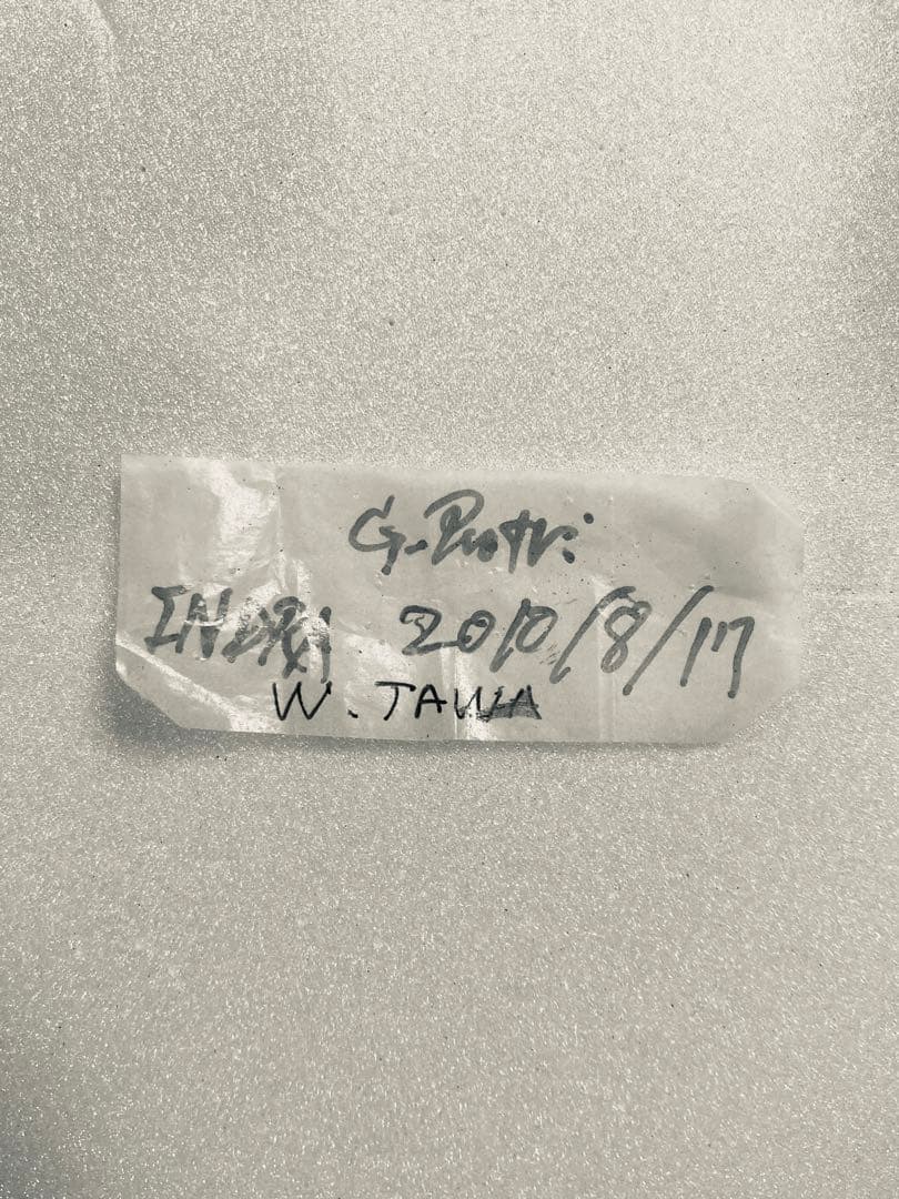 【ペア】パラドクサ（インドネシア・ジャワ島）