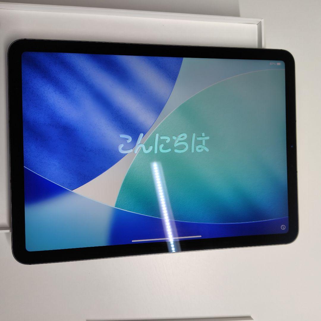 iPad Air（第４世代）セルラーモデル（SIMフリー）