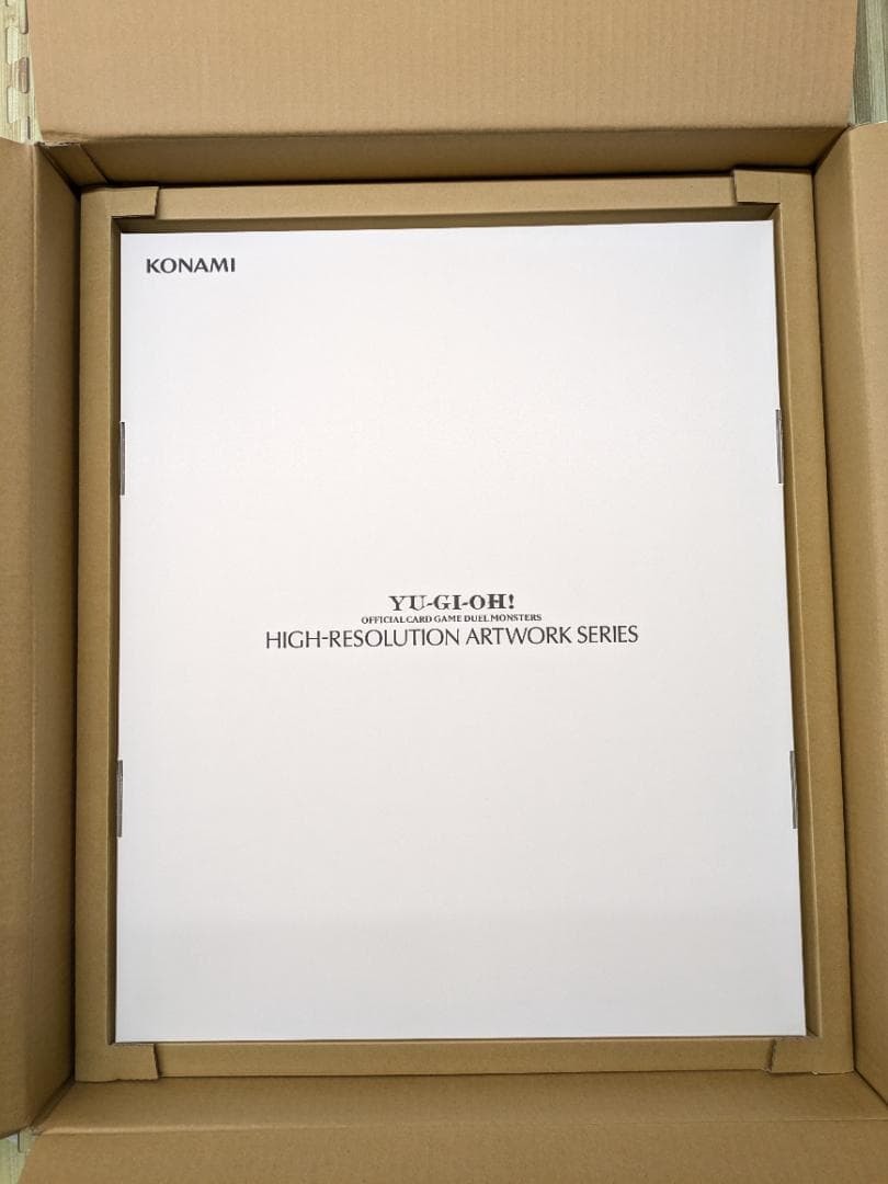 HIGH-RESOLUTION ARTWORK デストロイフェニックスガイ