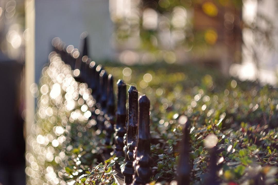 33【希少】13枚絞り　分解整備済み　Helios　ヘリオス44　アダプター付