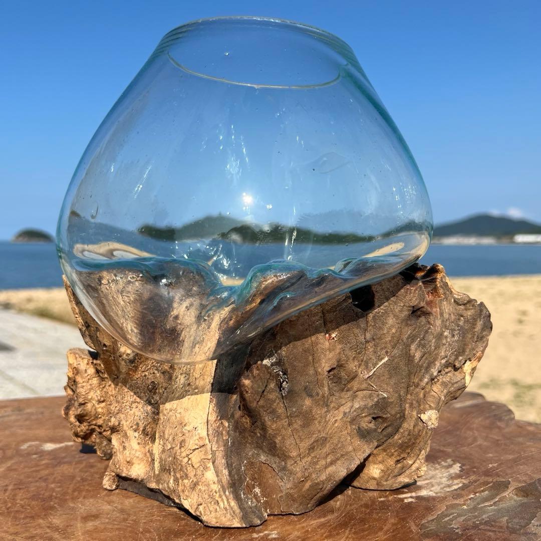 流木ガラスオブジェ大F 花瓶 金魚鉢 ガーデニング フラワーポット 水槽 アート