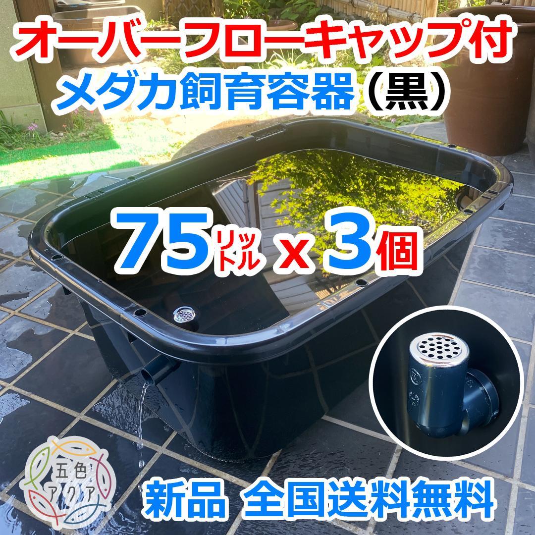 【新仕様】メダカ飼育ケース 75㍑黒x3個 オーバーフロー加工済 金魚飼育容器