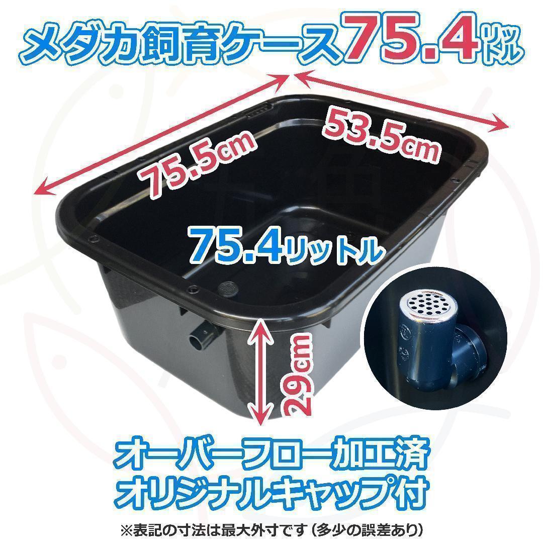 【新仕様】メダカ飼育ケース 75㍑黒x3個 オーバーフロー加工済 金魚飼育容器