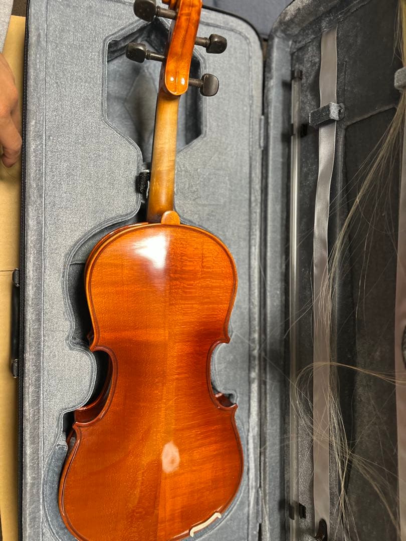 STENTOR バイオリン 木製 オレンジ色