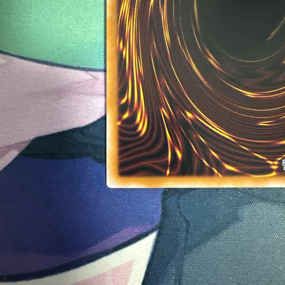 白き竜の落胤 プリシク