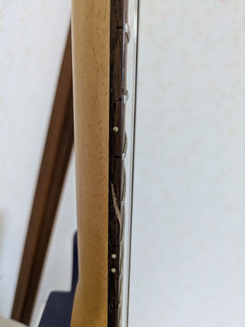 GYPSY ROSE 　ジプシーローズ　パープル エレキギター　ストラトタイプ