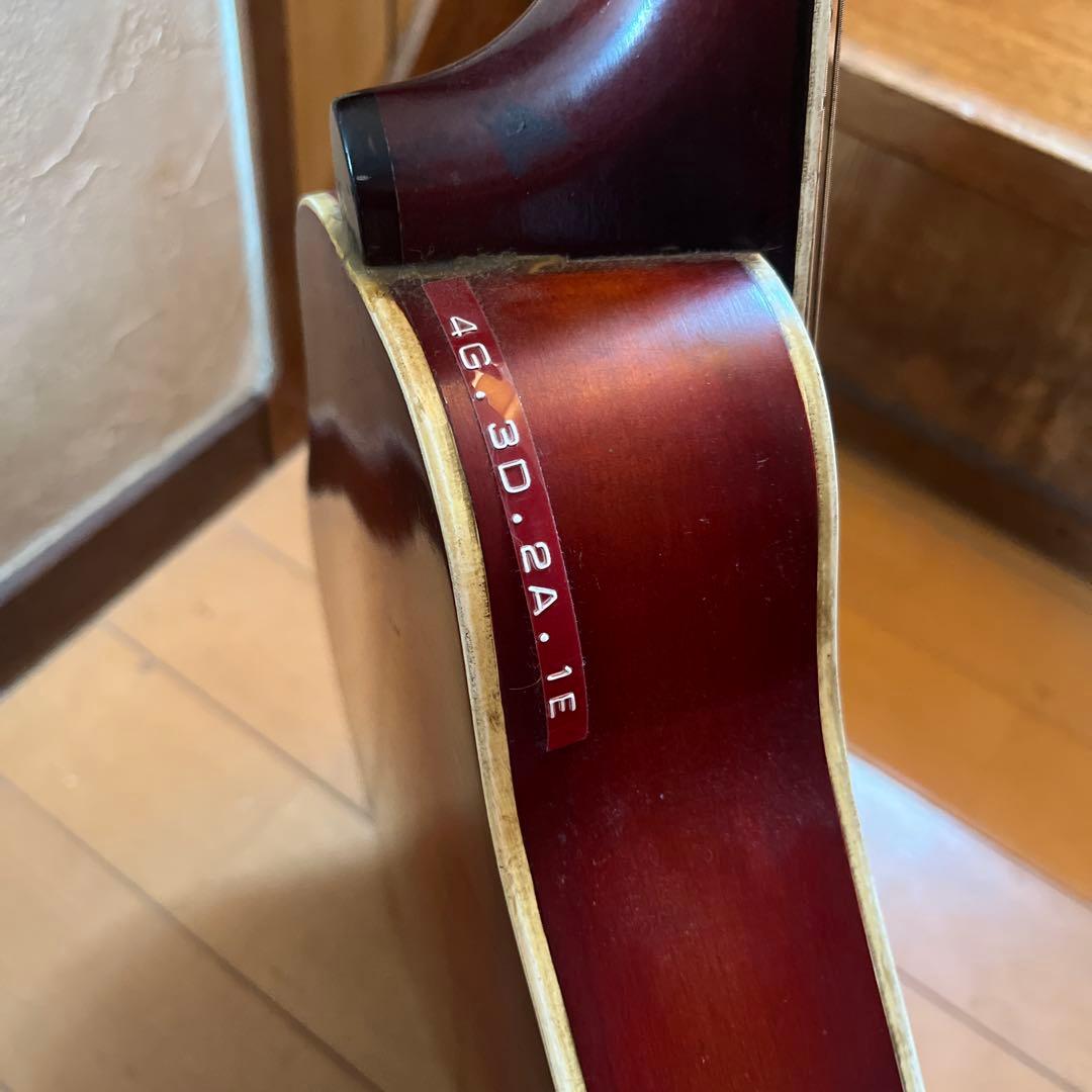 マンドリン　USA